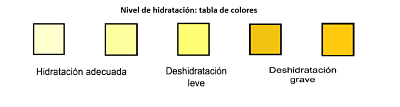 nivel de hidratación por el color de la orina